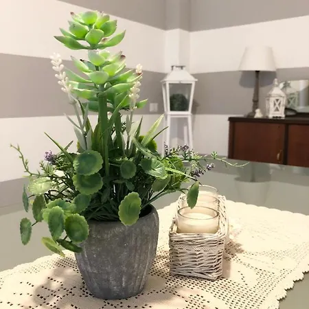 아파트 La Dimora Nel Centro *